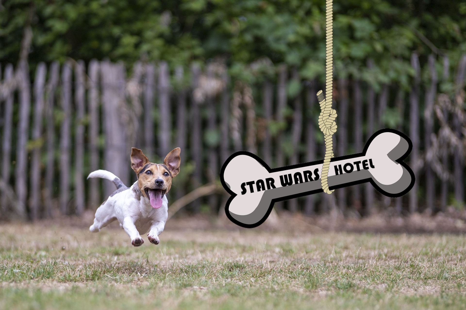 A rea&ccedil;&atilde;o ao an&acirc;ncio de um hotel perto das estrelas foi mais do que clara.