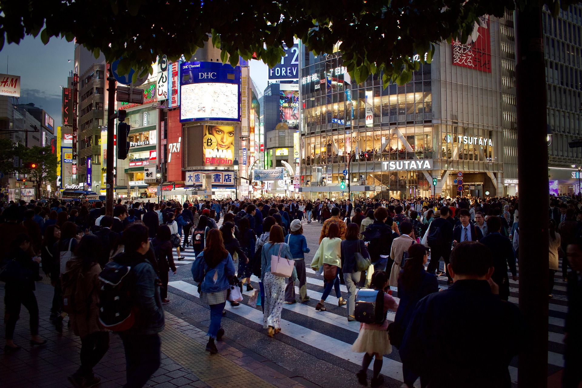 在日本的大城市里，住房短缺的问题正在推动建造高层的趋势。